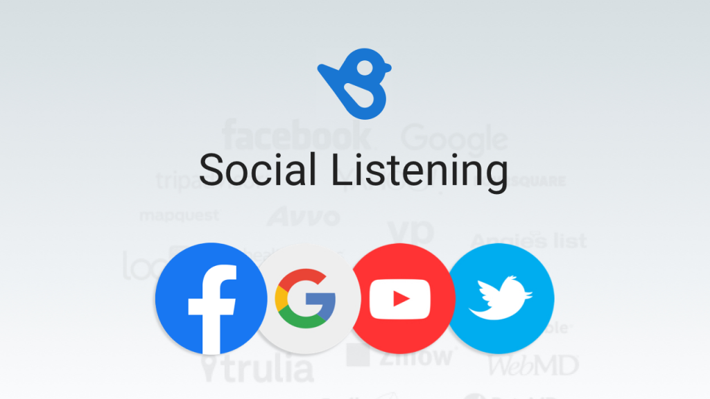 Birdeye social listening